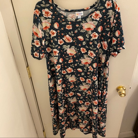LuLaRoe Dresses & Skirts - LulaRoe floral Carly dress with side pockets size 2X